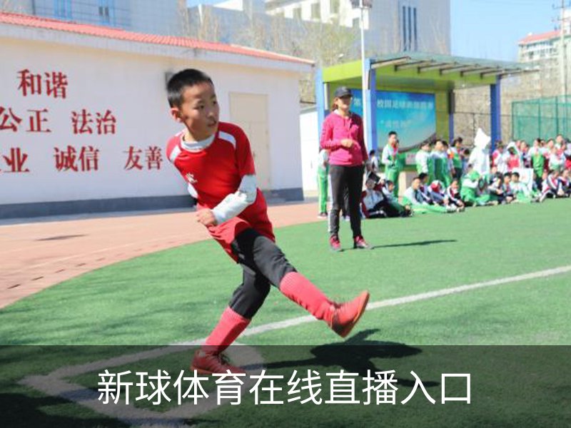 新球体育在线直播入口介绍
